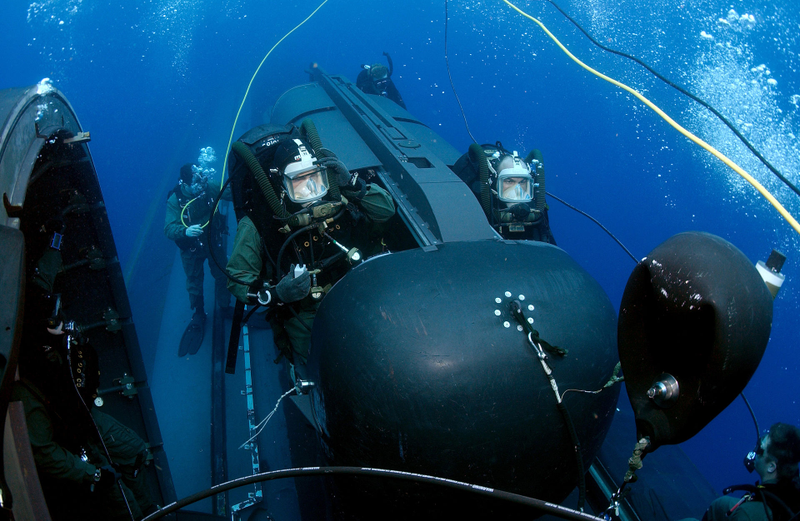 Illustration for article titled This Dolphin Is The Perfect Chaperone For The Navy's Newest Submarine